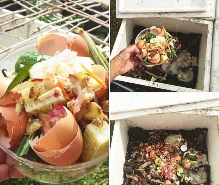 Inilah 7 Bahan Sisa Dapur Yang Dijadikan Baja Organik Terbaik Semua