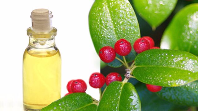 Wintergreen Oil Methyl Salicylate Pain Reliever